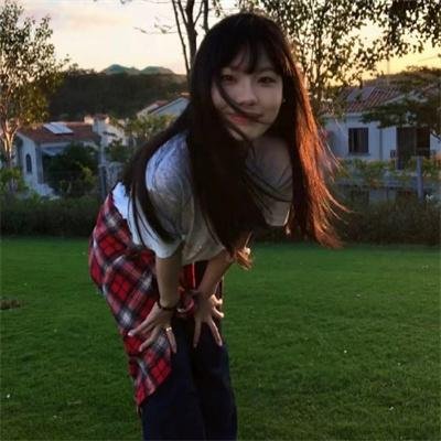 海豚爱上猫